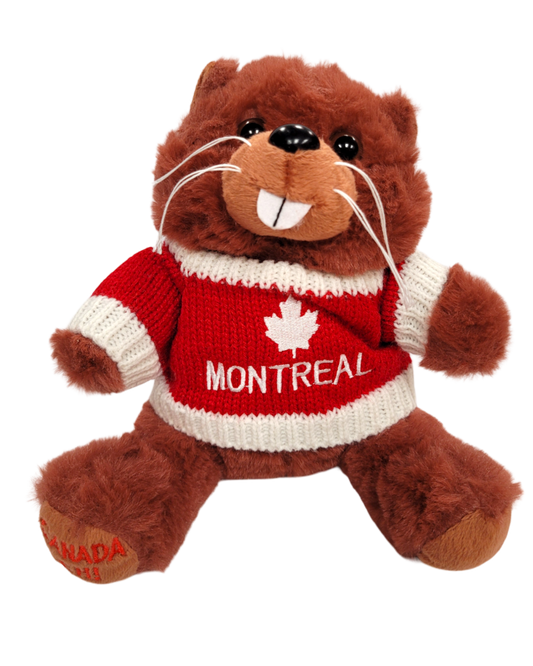 Furry Plush with Knitted Sweater Montreal