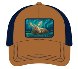 Licensed Patch Hat - ARW - Restful Night Aurora Moose