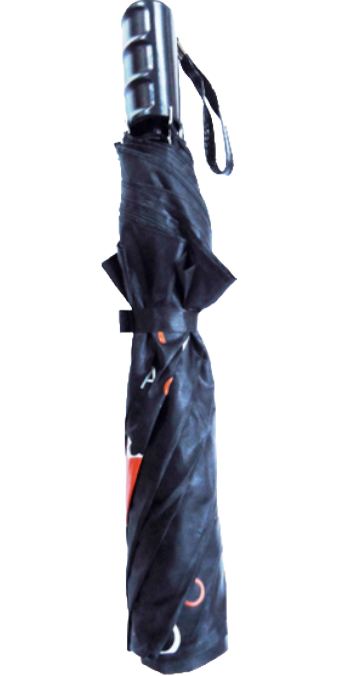 Canada 21” Folding Umbrella