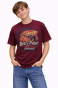 Licensed Youth T-Shirt - Raven Lunatic - Beary Potter
