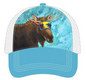 Licensed Landmark Hat - ARW - Moose Reflection
