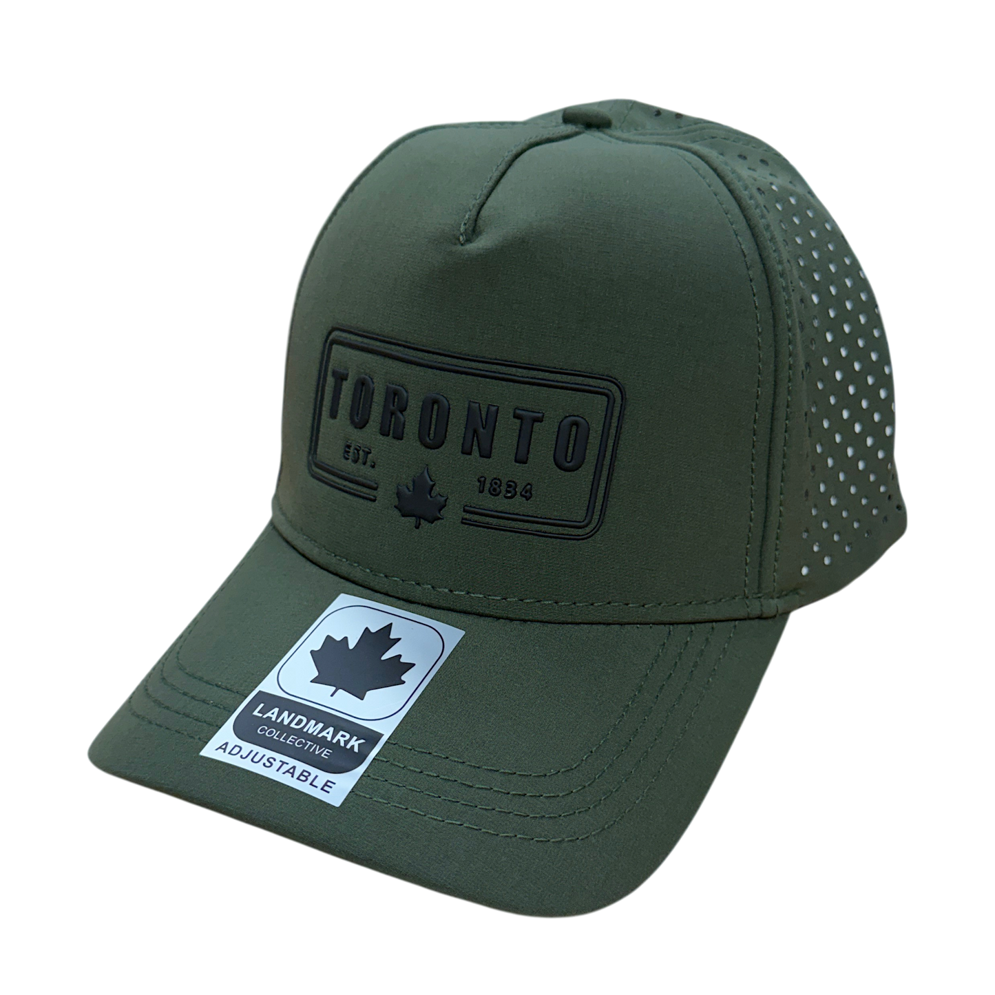 Toronto Baseball Hats