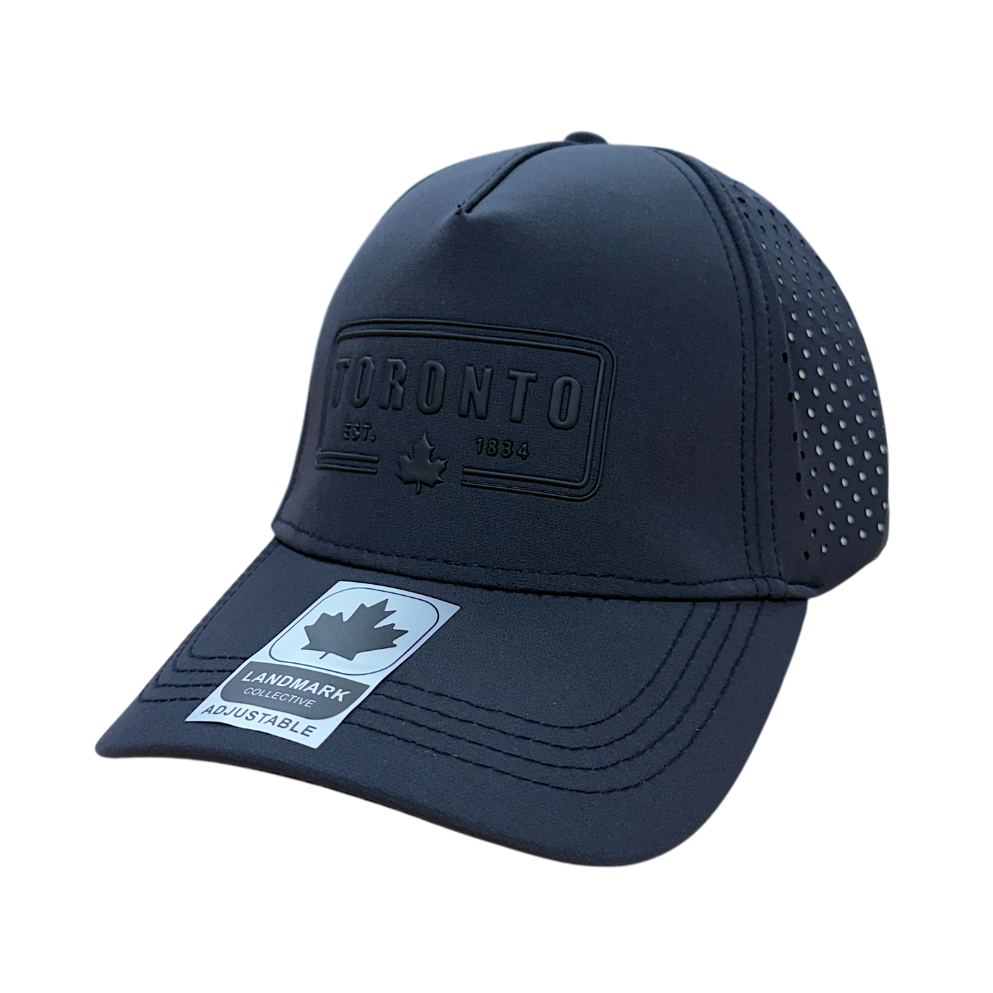 Toronto Baseball Hats